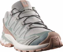 Salomon XA PRO 3D V9 GTX Lifelong W 